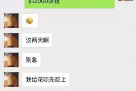 龙南债务清欠服务